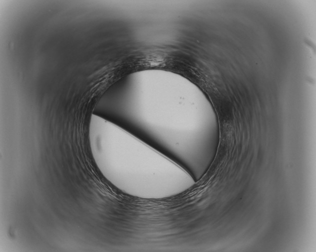 X0000098211442200804241051