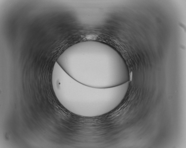 X0000098211443200804241051