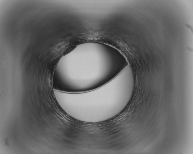 X0000098211444200804241050