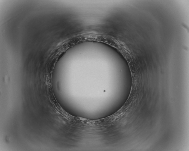 X0000098211445200804241050