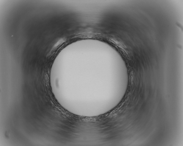X0000098211446200804241050