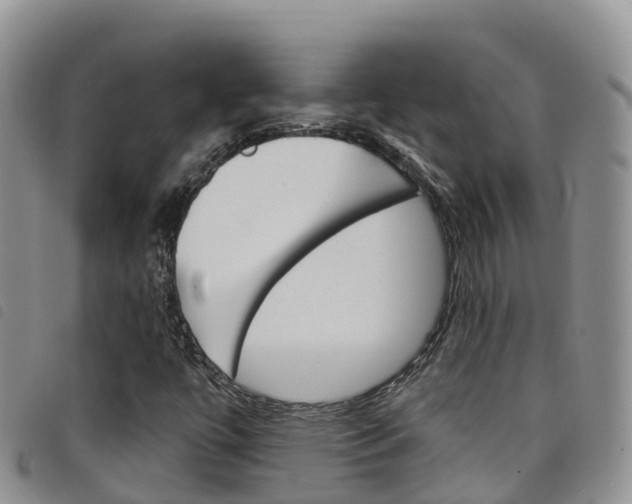 X0000098211447200804241050