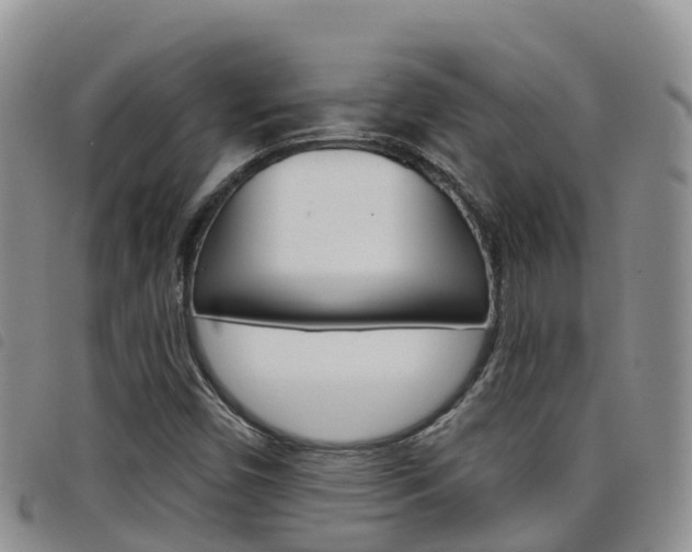 X0000098211450200804241050