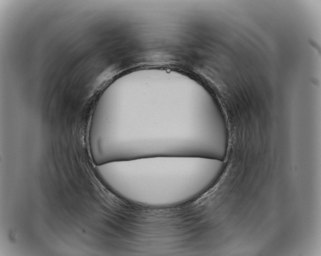 X0000098211451200804241050