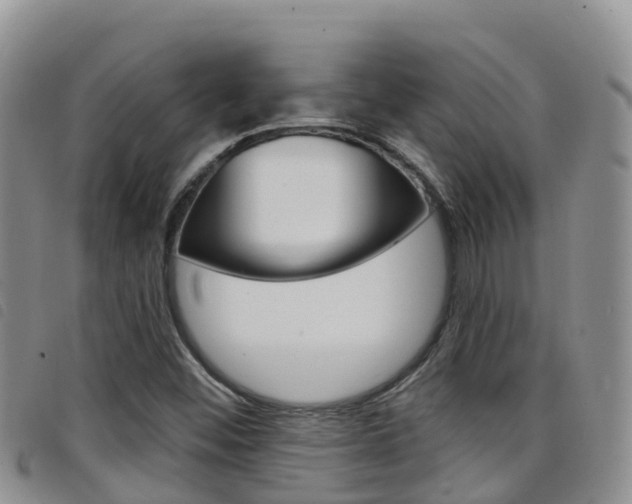 X0000098211452200804241050