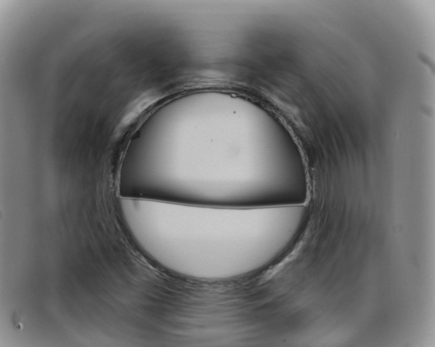 X0000098211453200804241050