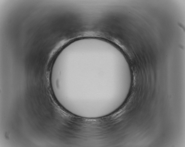 X0000098211454200804241050