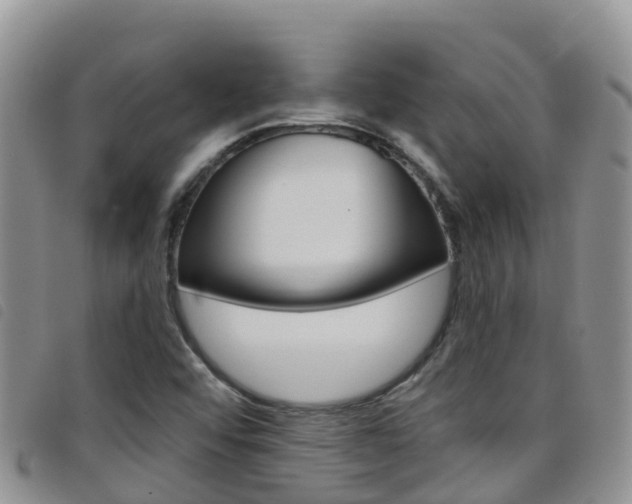 X0000098211456200804241050