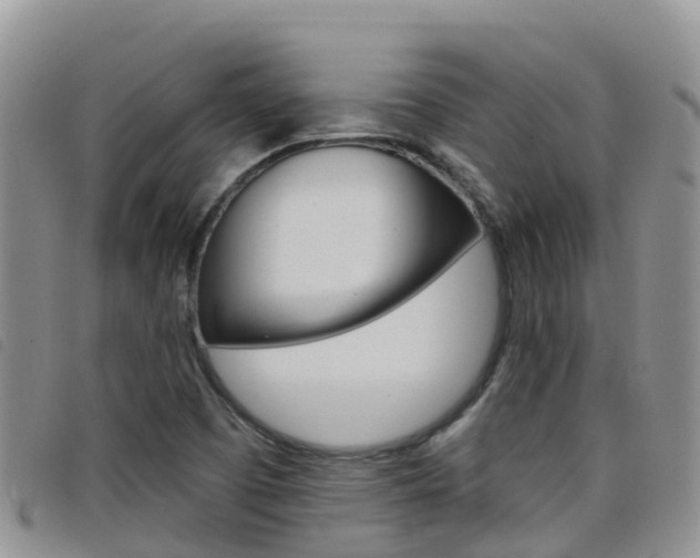X0000098211457200804241050