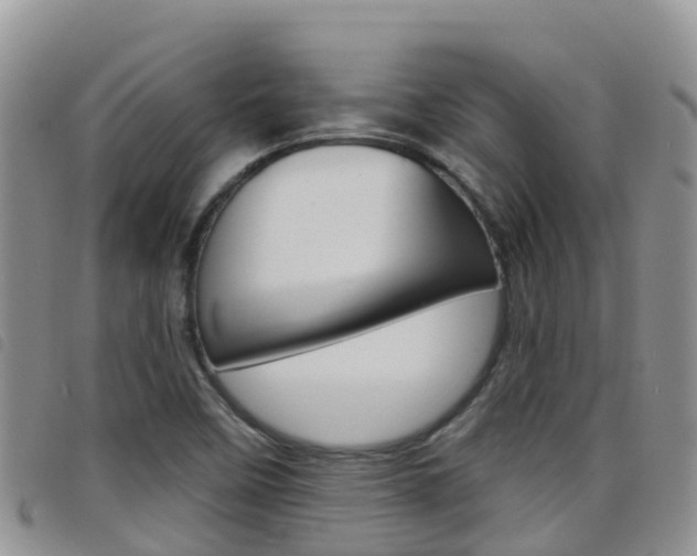 X0000098211458200804241050