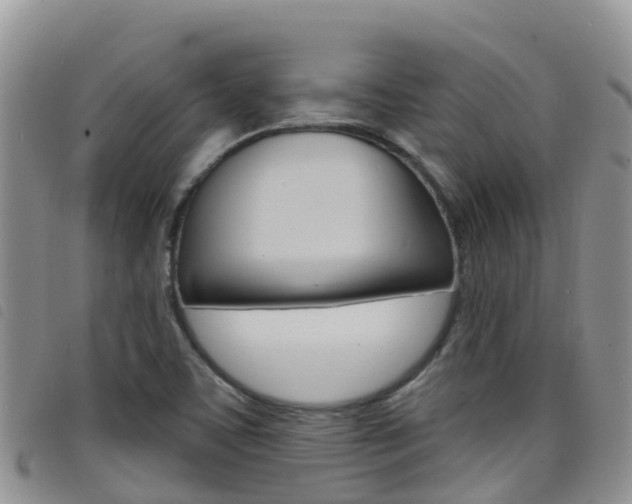 X0000098211459200804241050