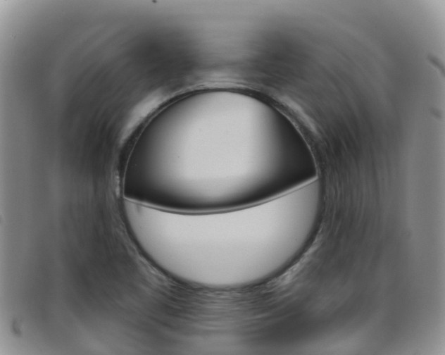 X0000098211461200804241050