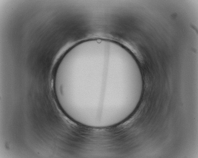 X0000098211462200804241050