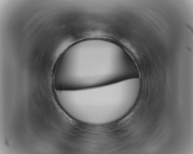 X0000098211463200804241050