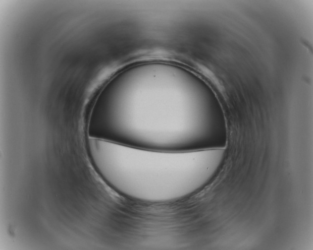X0000098211464200804241050