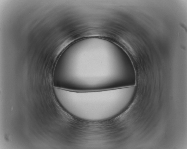 X0000098211465200804241050