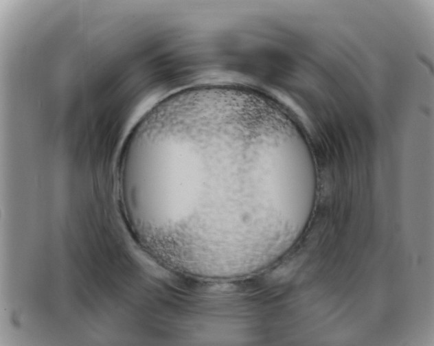 X0000098211467200804241050