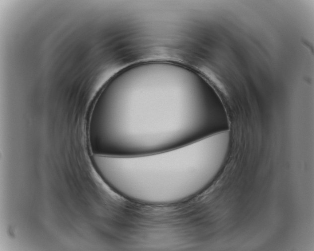 X0000098211468200804241050