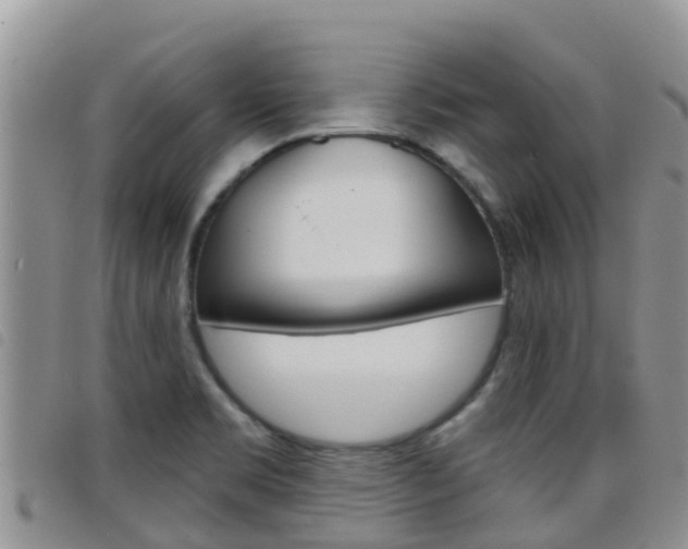 X0000098211469200804241050