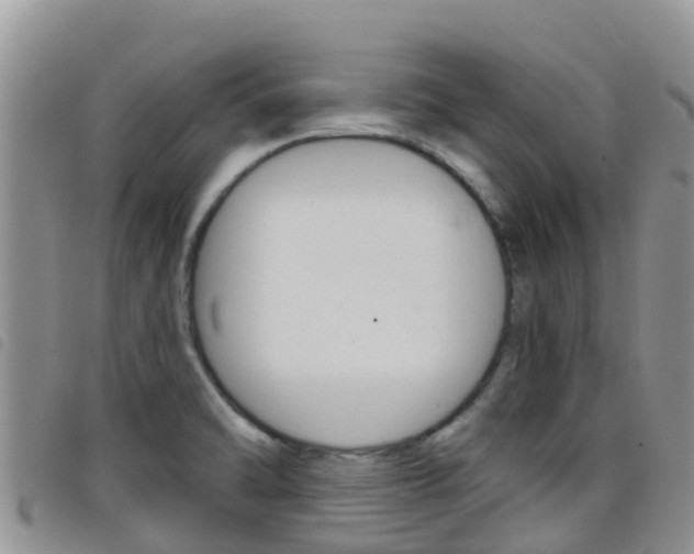 X0000098211470200804241050
