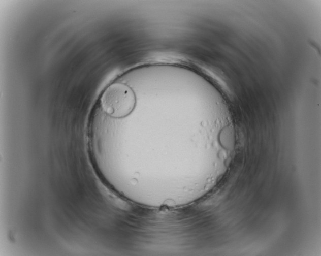 X0000098211471200804241050