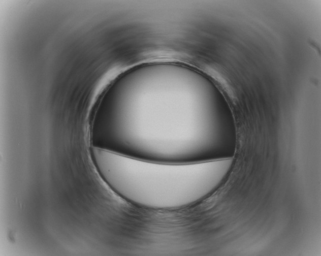 X0000098211472200804241050