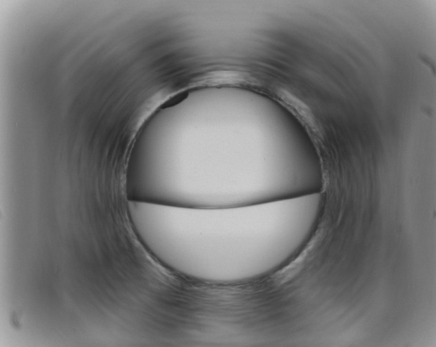 X0000098211473200804241050