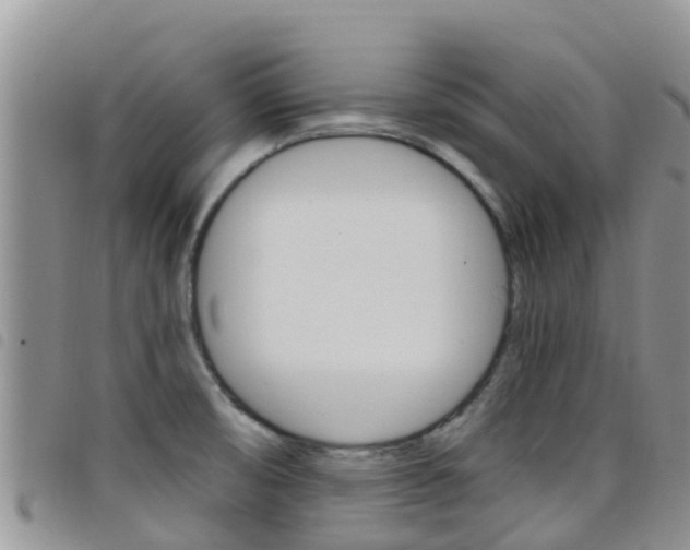 X0000098211474200804241050