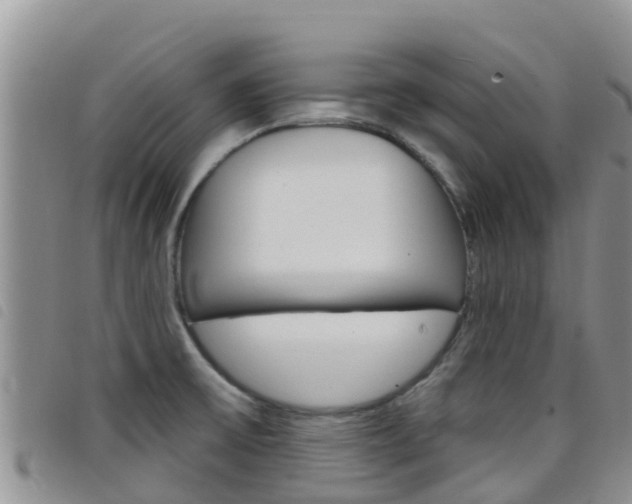 X0000098211475200804241050