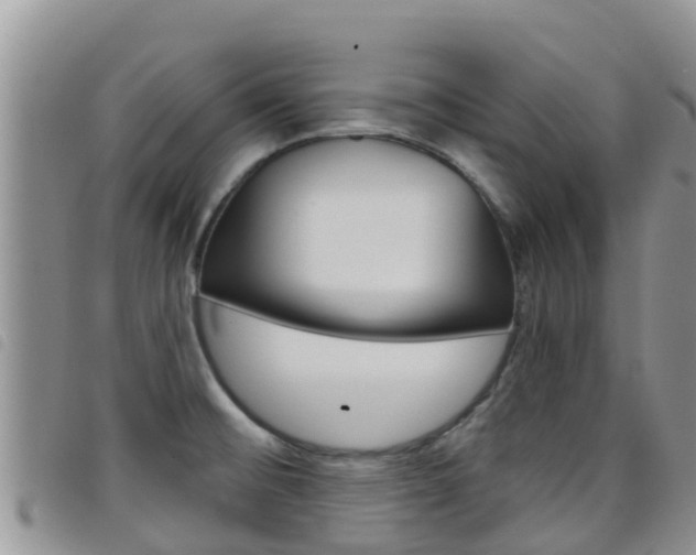 X0000098211476200804241050