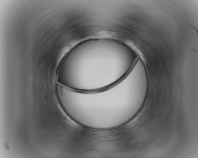 X0000098211477200804241050