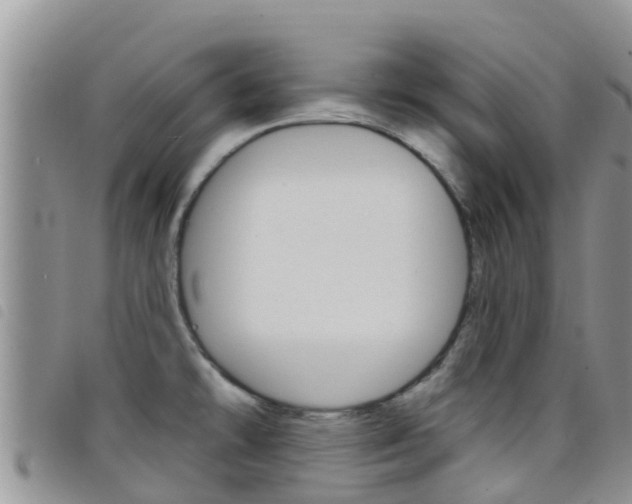 X0000098211478200804241050