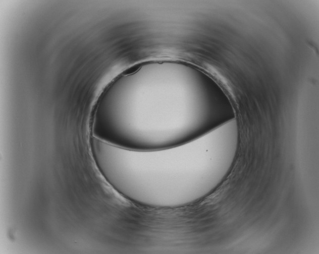 X0000098211480200804241050