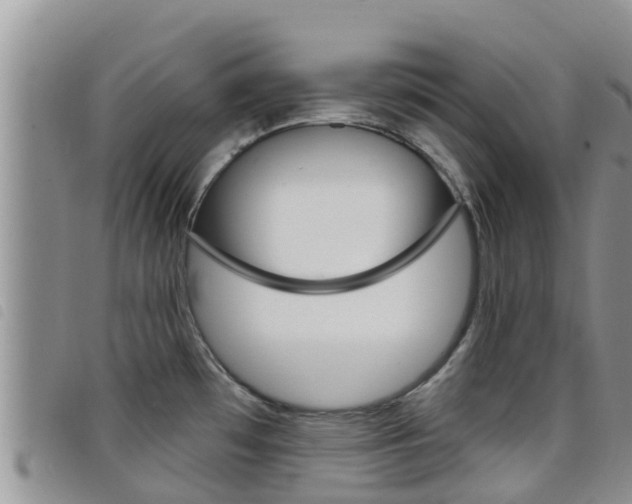X0000098211481200804241050