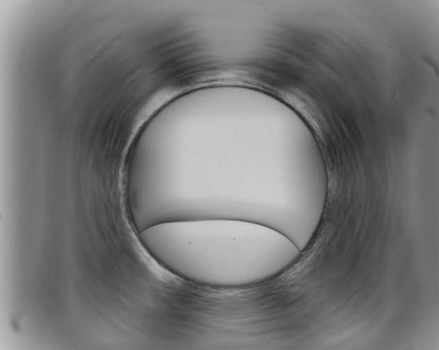 X0000098211482200804241050