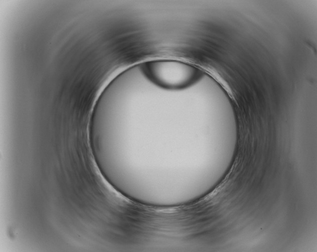 X0000098211484200804241050