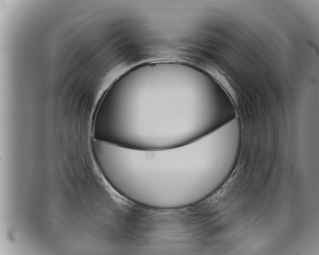 X0000098211485200804241050