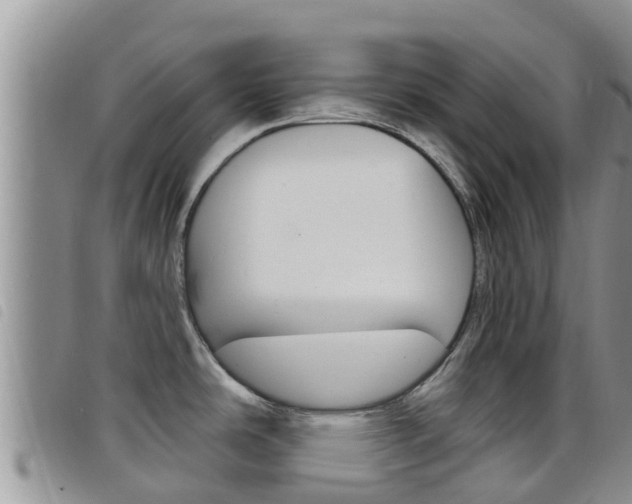 X0000098211486200804241050