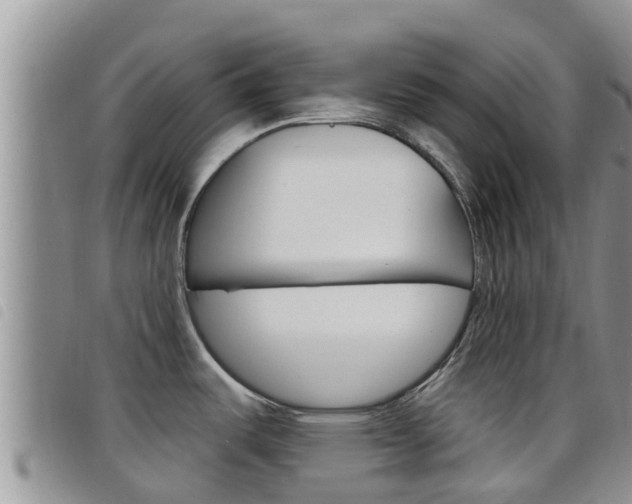 X0000098211487200804241050