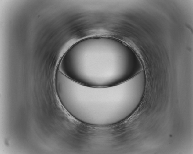 X0000098211488200804241050