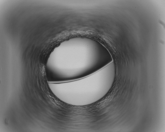 X0000098211492200804241049