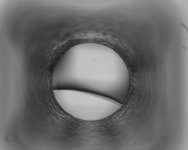 X0000098211493200804241049