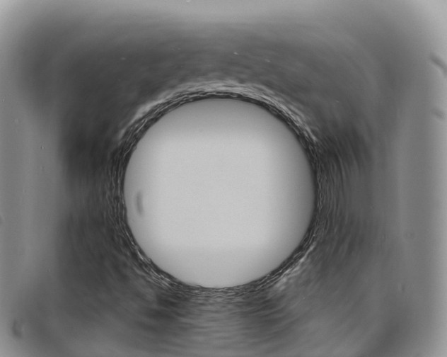 X0000098211494200804241049