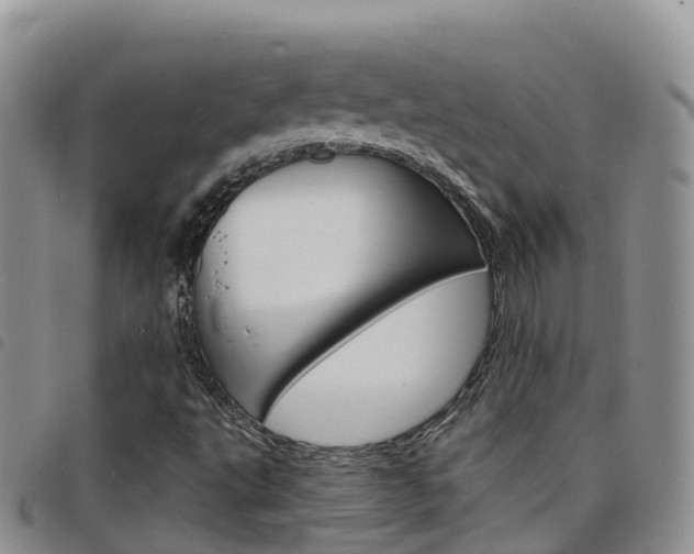 X0000098211495200804241049