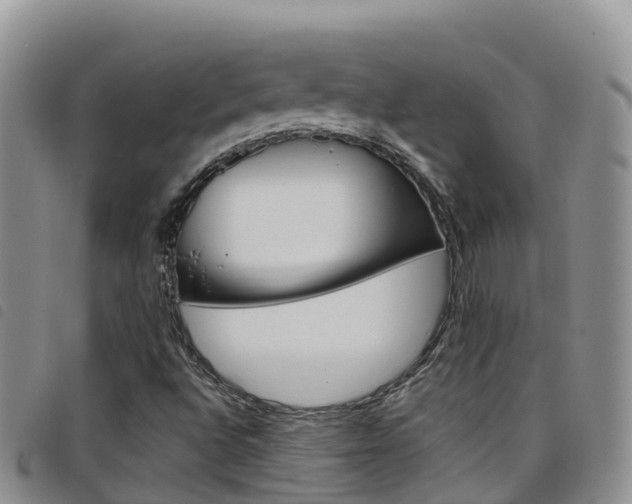 X0000098211496200804241049