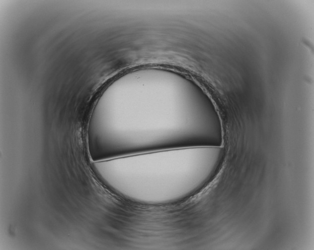 X0000098211497200804241049