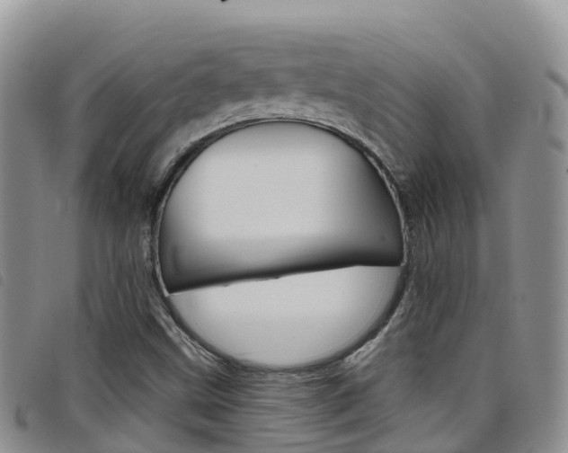 X0000098211499200804241049