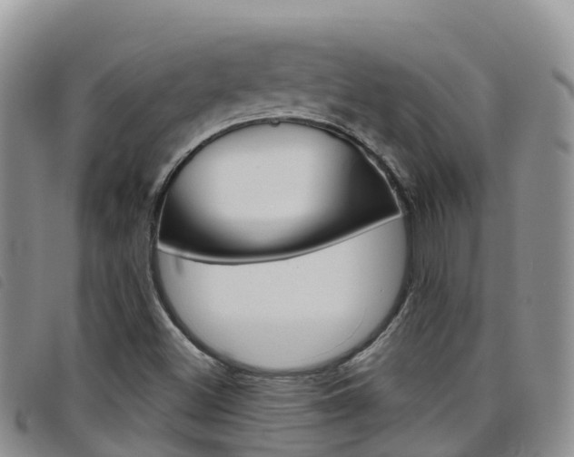 X0000098211500200804241049