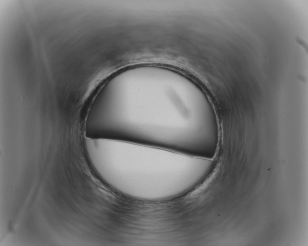 X0000098211501200804241049