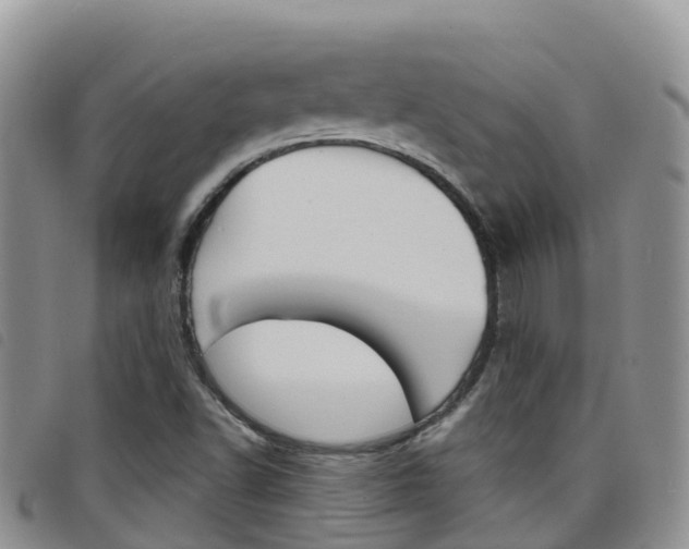 X0000098211502200804241049